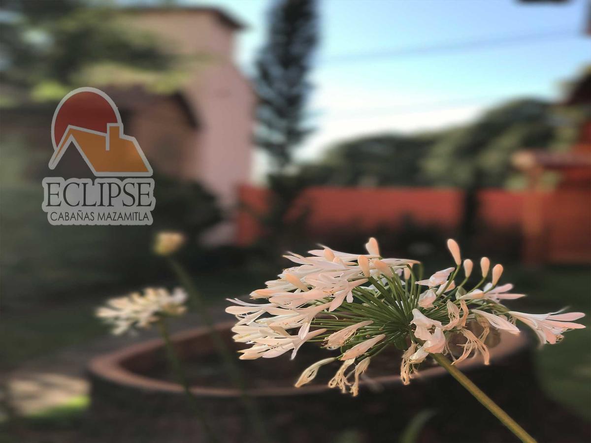 Cabanas Eclipse Hotel Mazamitla Luaran gambar