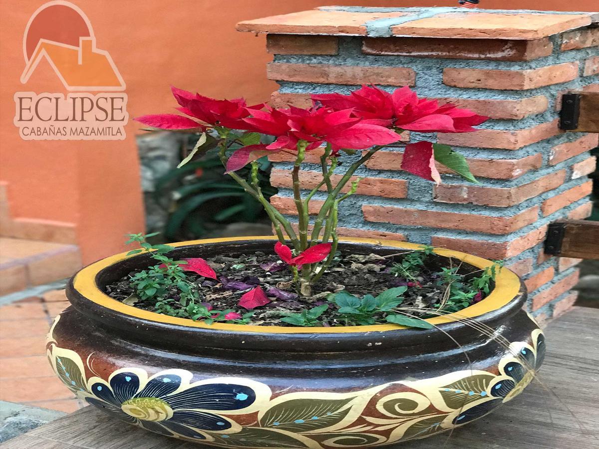 Cabanas Eclipse Hotel Mazamitla Luaran gambar
